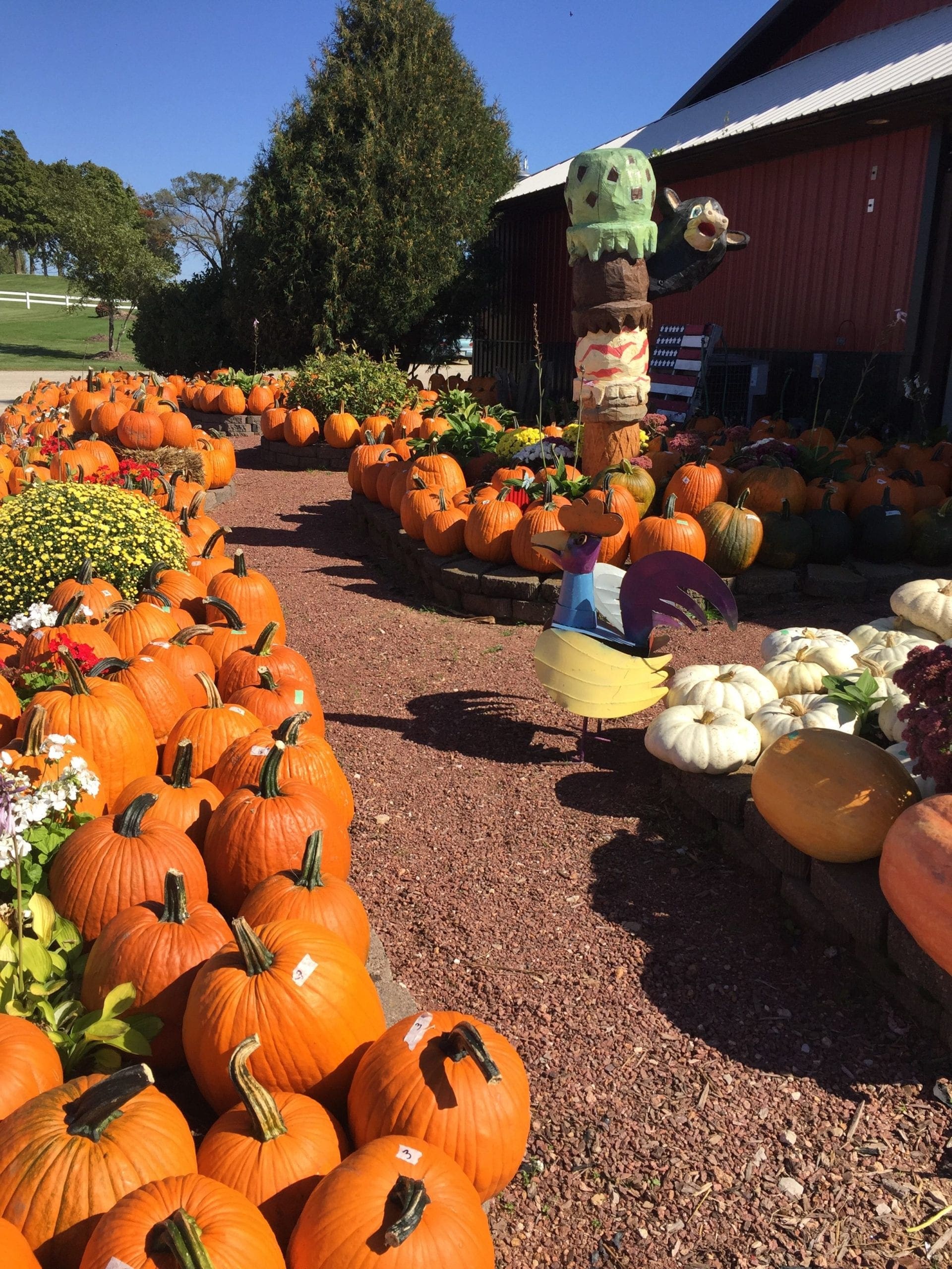 Pumpkin Patch Julie's Park Cafe & Motel