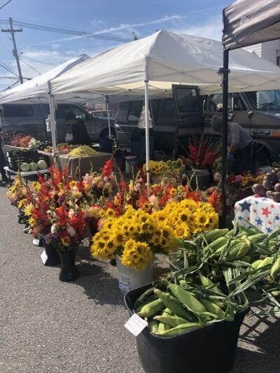 Farmers Markets In Door County